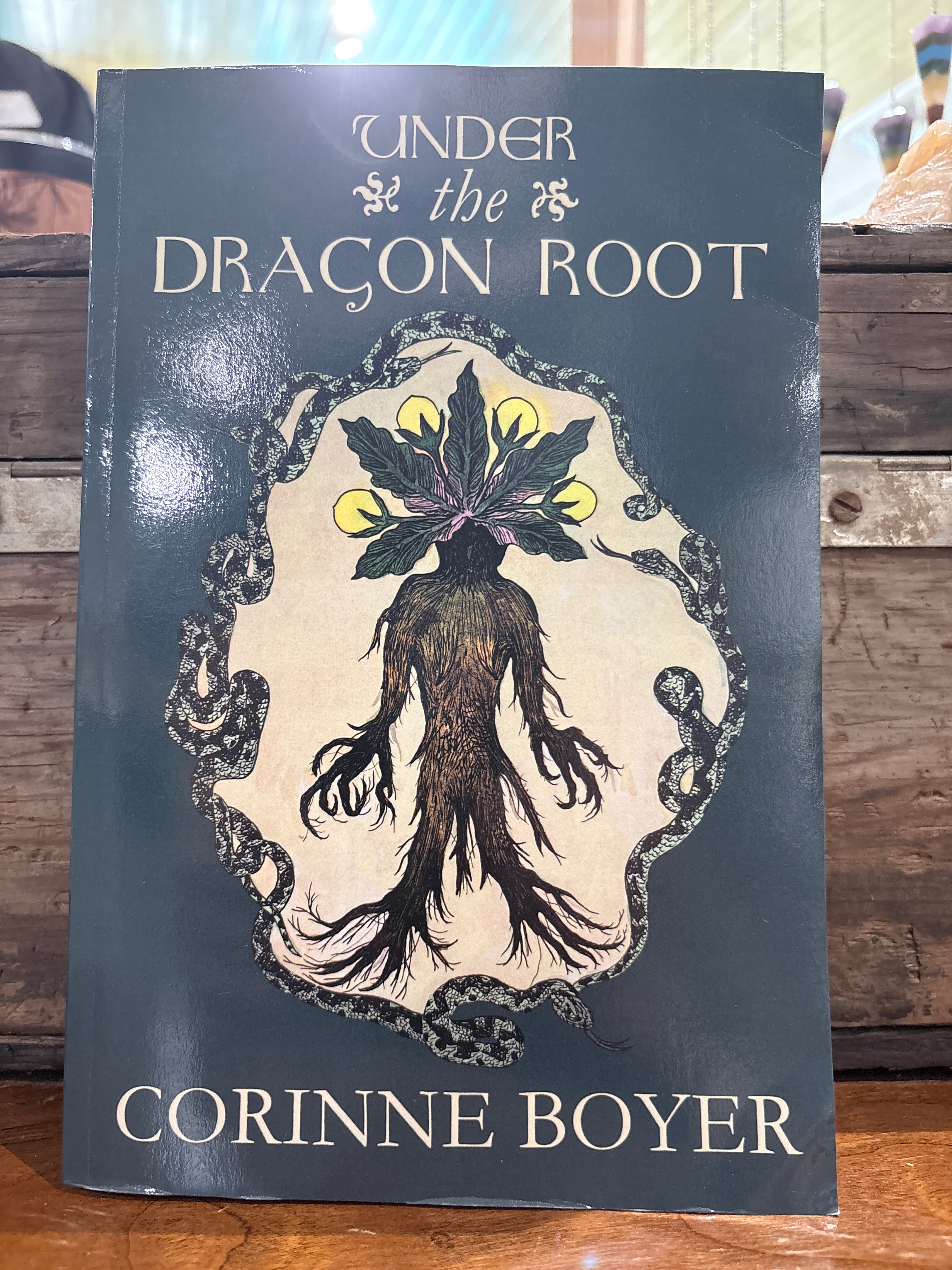 Under the Dragons Root