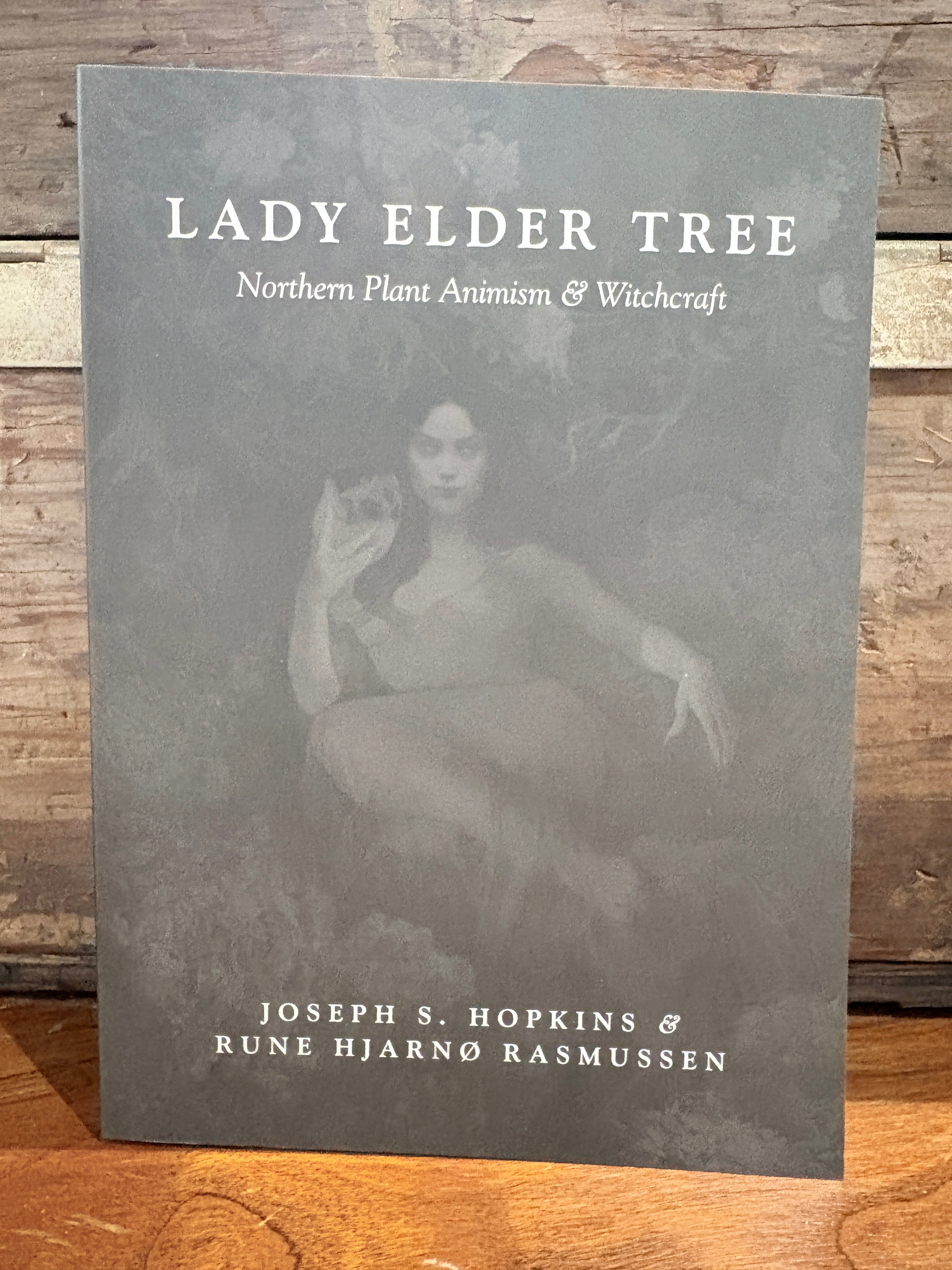 Lady Elder Tree