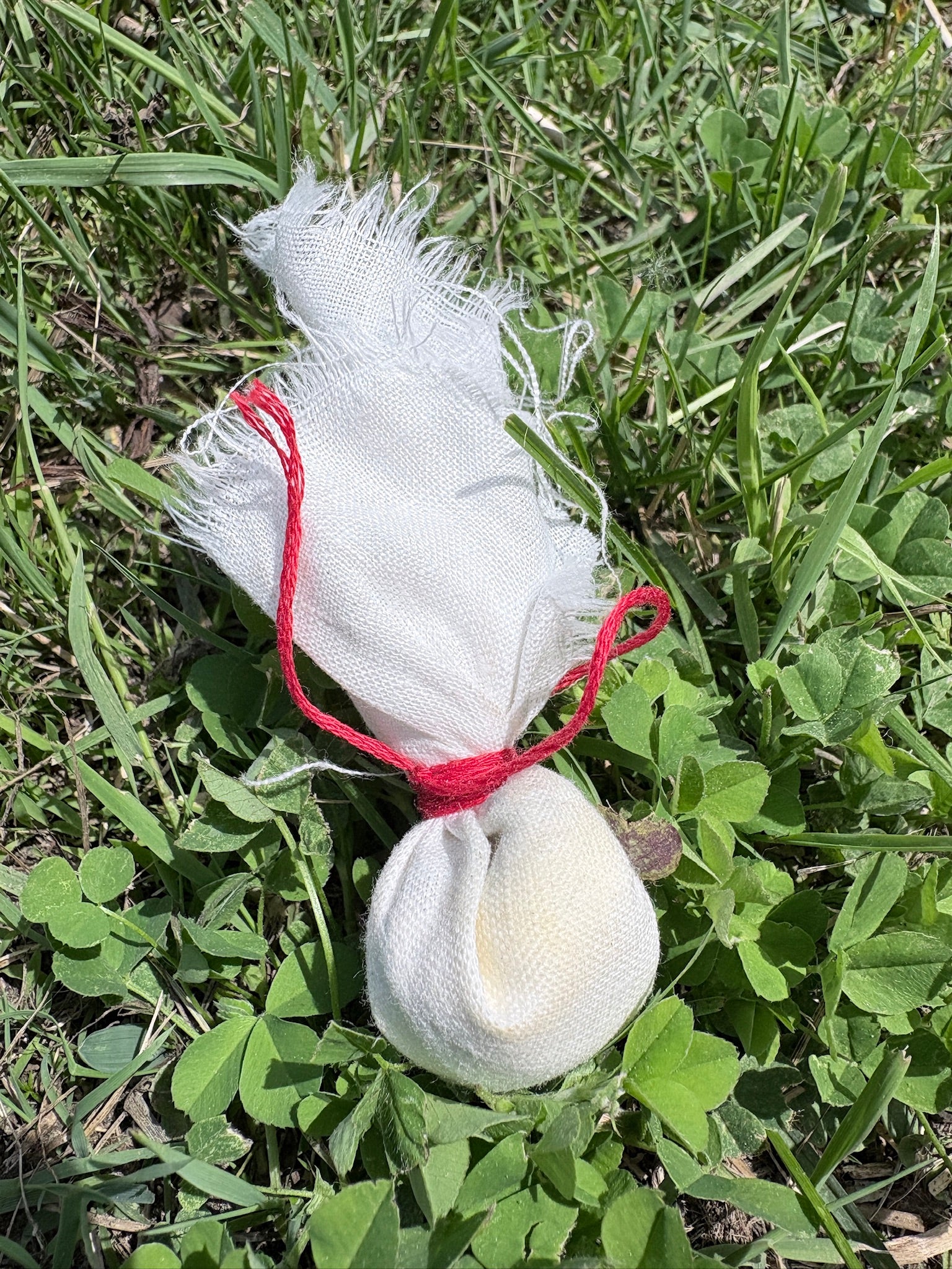 Protection Trollpåsar